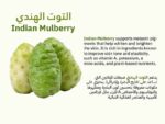 the-fine-organics-whitenning-cream001_2025-05-25-015319_zaax.jpg